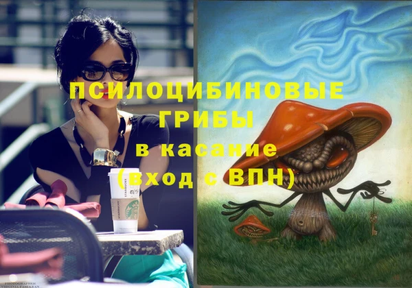 СК Навашино
