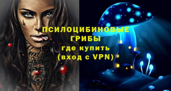 СК Навашино