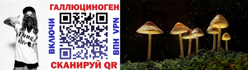 наркотики  Железногорск-Илимский  Псилоцибиновые грибы Psilocybe 